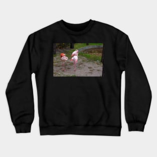 Pink and red flamingo Crewneck Sweatshirt